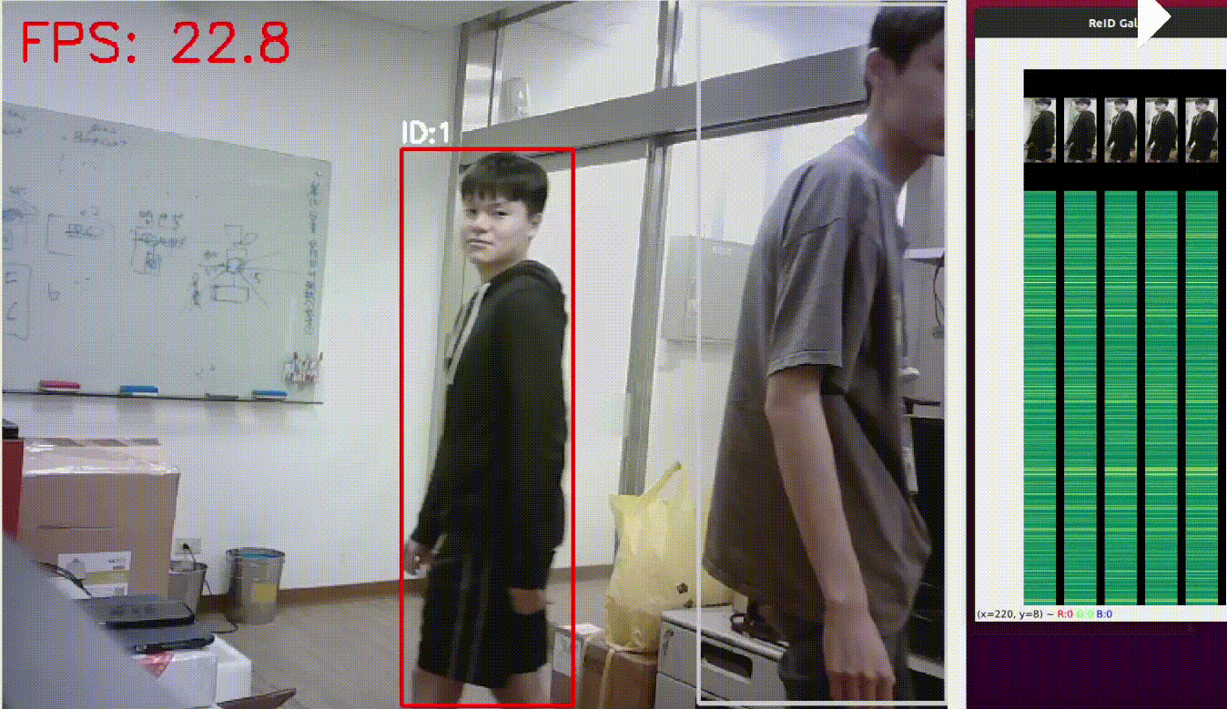 Person re-identification tracking demo